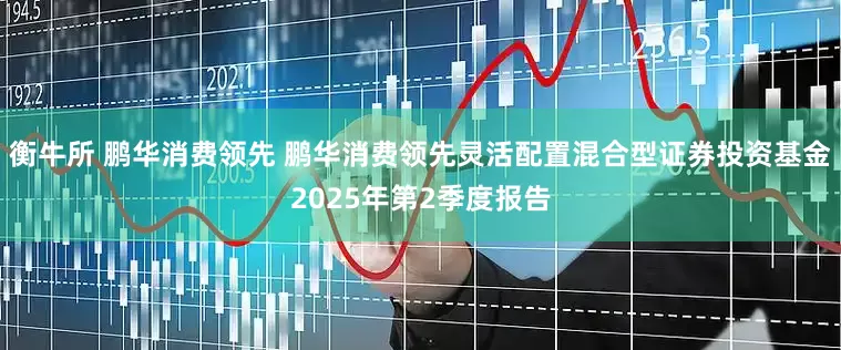 衡牛所 鹏华消费领先 鹏华消费领先灵活配置混合型证券投资基金2025年第2季度报告
